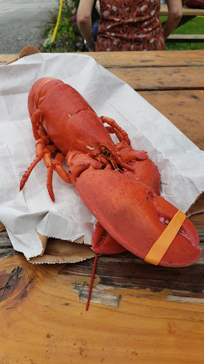 Seafood Market «Dorr Lobster Seafood Market», reviews and photos, 372 Shore Rd, Ellsworth, ME 04605, USA