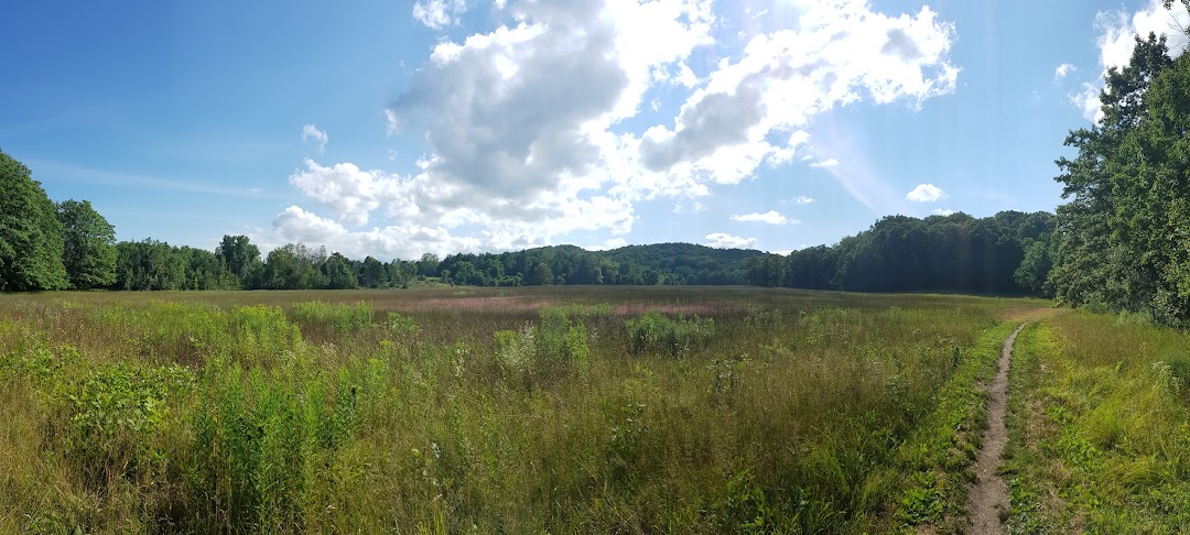 Hickory Meadows