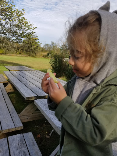 Gourmet Grocery Store «Max Hansen Carversville Grocery», reviews and photos, 6208 Fleecy Dale Rd, Carversville, PA 18913, USA