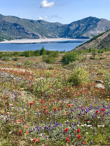 Monument «Mount St. Helens National Volcanic Monument Headquarters», reviews and photos, 42218 NE Yale Bridge Rd, Amboy, WA 98601, USA