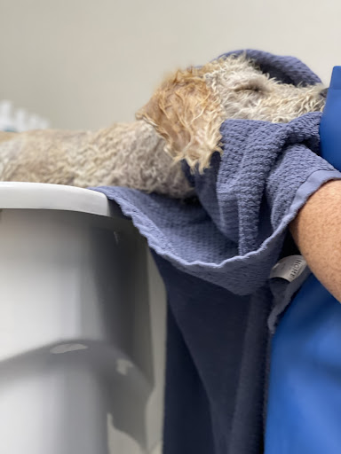 Pet Supply Store «Pet Pantry & Dog Wash», reviews and photos, 5148 Academy Blvd N, Colorado Springs, CO 80918, USA