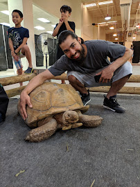 Tucson Expo Center - Photo 3 - Car repair in Tucson, AZ, Tucson