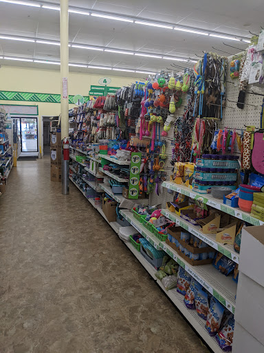 Dollar Store «Dollar Tree», reviews and photos, 100 Northeast Ave, North East, MD 21901, USA