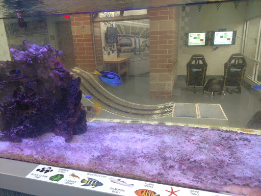 Honda Dealer «Motorcars Honda», reviews and photos, 2953 Mayfield Rd, Cleveland Heights, OH 44118, USA