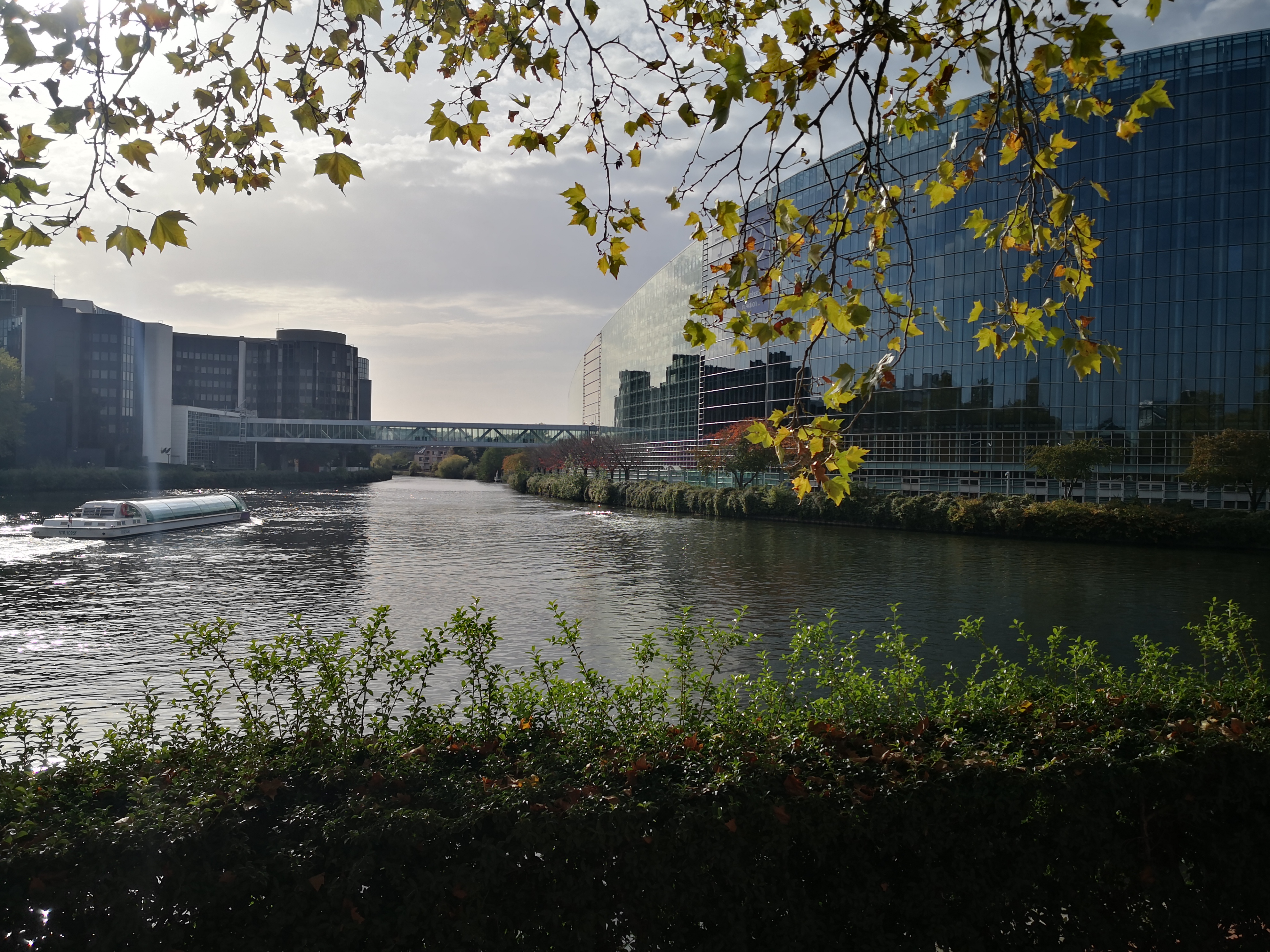 Photo n° 1 de l'avis de Tremblay.l fait le 28/10/2022 à 13:51