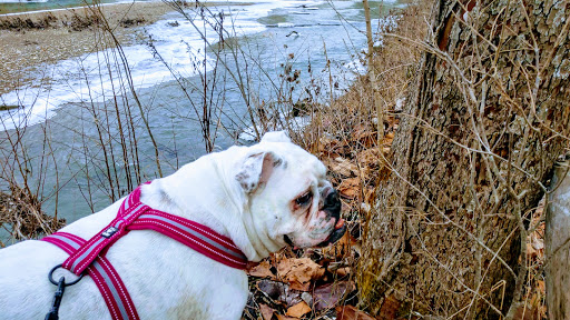 Park «DePauw Nature Park», reviews and photos, 1400 West County Road 125 South, Greencastle, IN 46135, USA