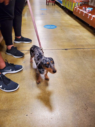 Pet Supply Store «PetSmart», reviews and photos, 14025 SW 88th St, Miami, FL 33186, USA