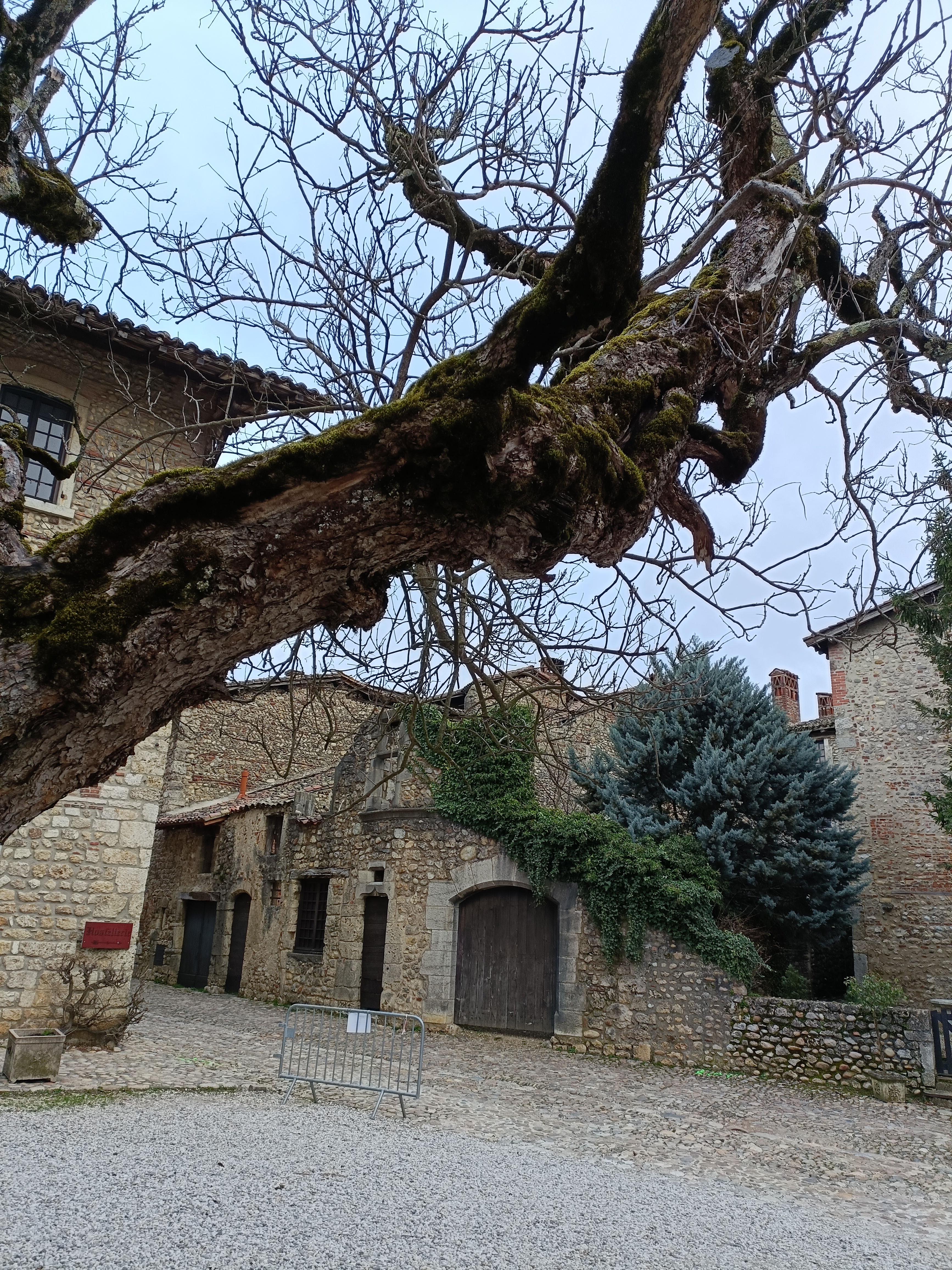 Photo n° 22 de l'avis de Gilles.u fait le 17/02/2024 à 16:50