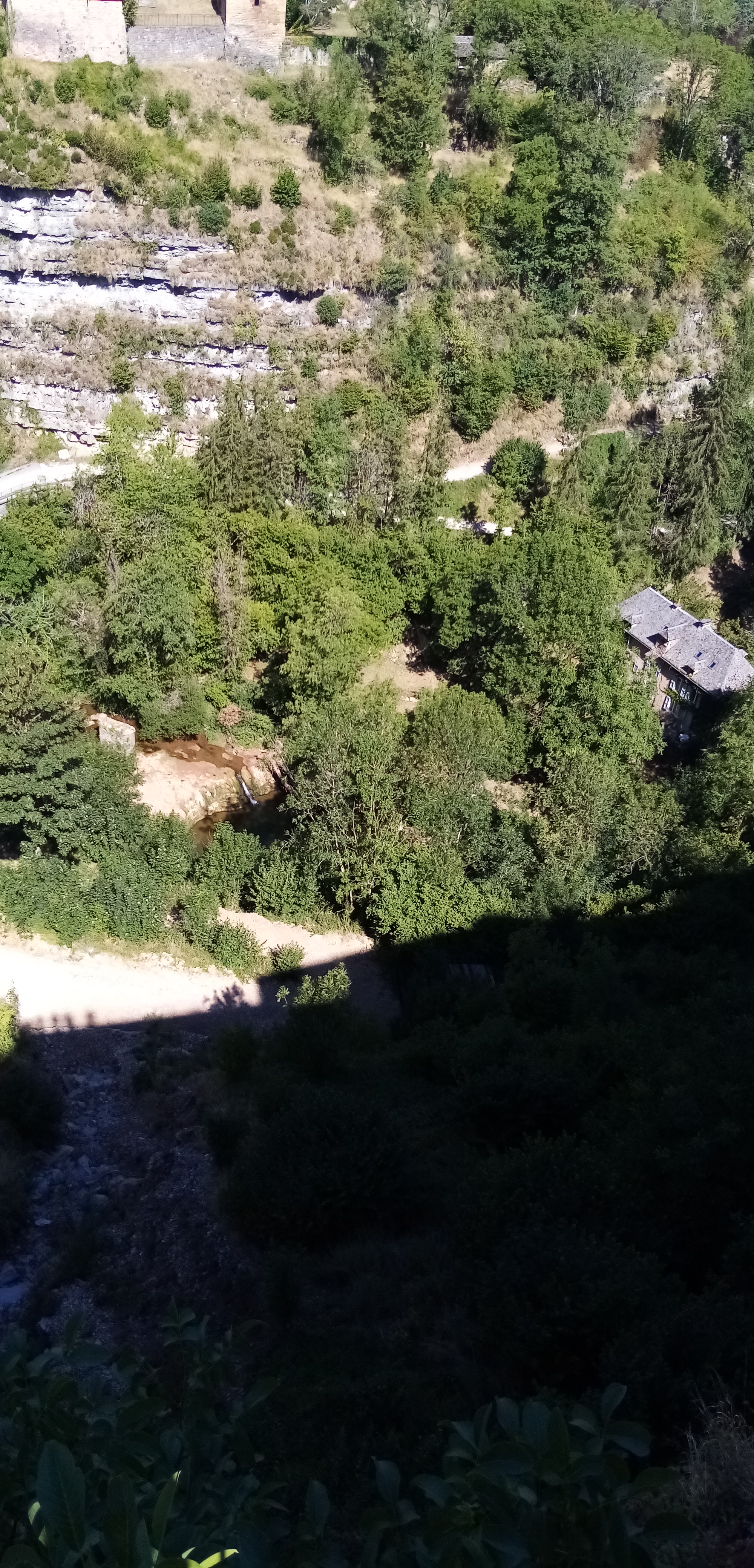 Photo n° 2 de l'avis de askip.e fait le 02/08/2022 à 05:51