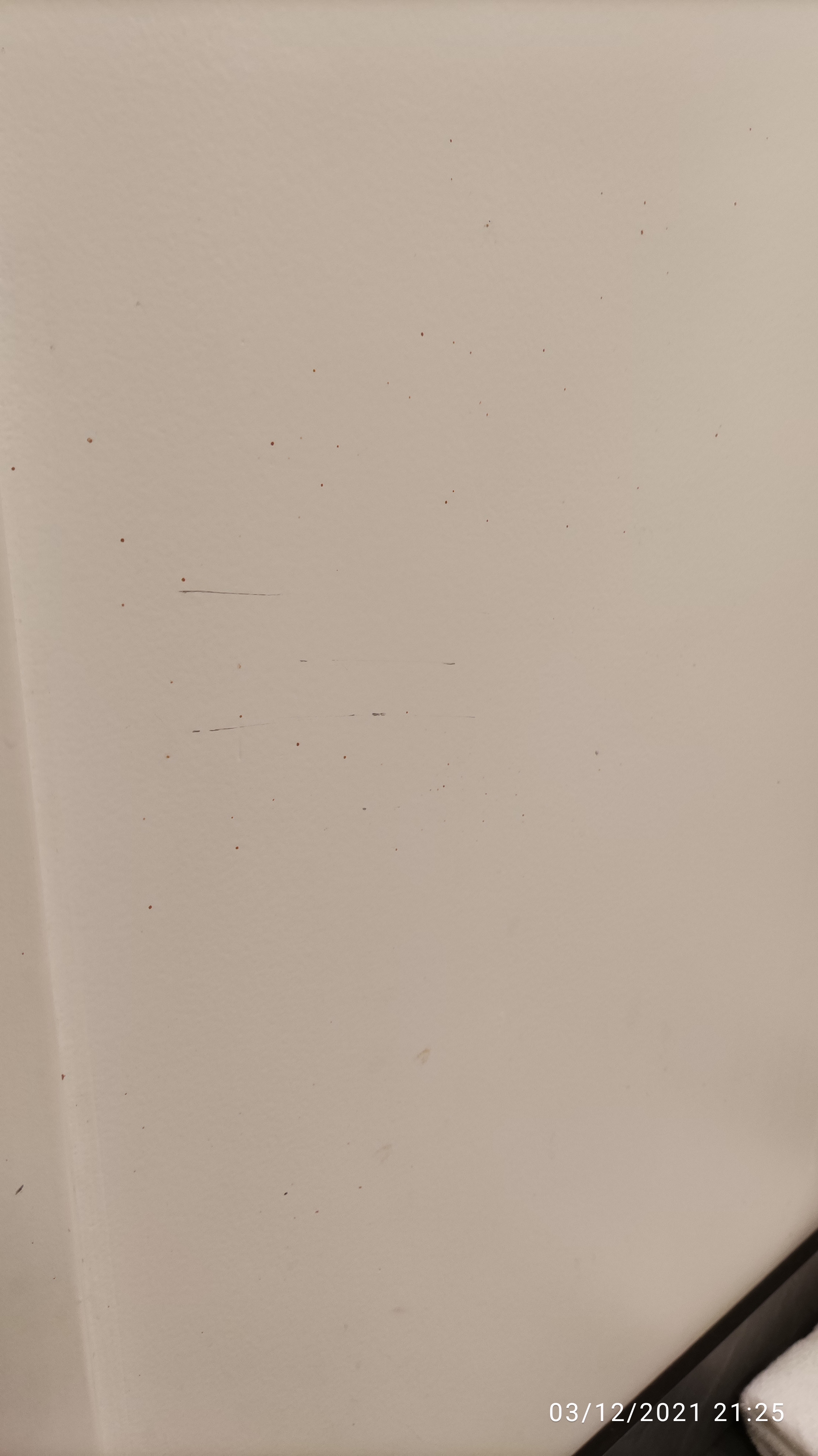 Photo n° 11 de l'avis de Amr.a fait le 05/12/2021 à 13:47