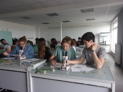 Institut d'Enseignement Technologique I.E.T à Hoymille