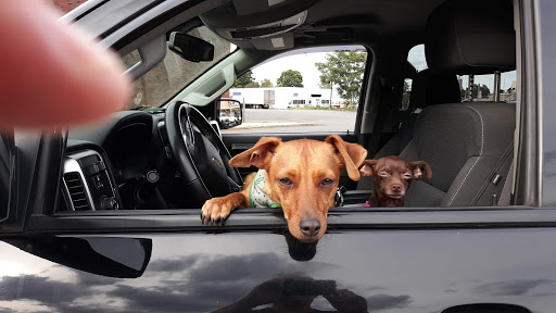 Discount Store «Big Lots», reviews and photos, 126 Boston St, Lynn, MA 01904, USA