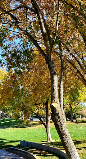 Community Center «Willows Community Center», reviews and photos, 2775 Desert Marigold Ln, Las Vegas, NV 89135, USA