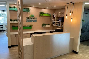 Summit Physiotherapy & Massage Therapy image