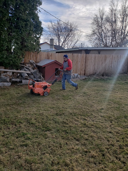 Bumblebee lawn care & curbing