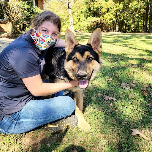 Dog Training Elite West Houston