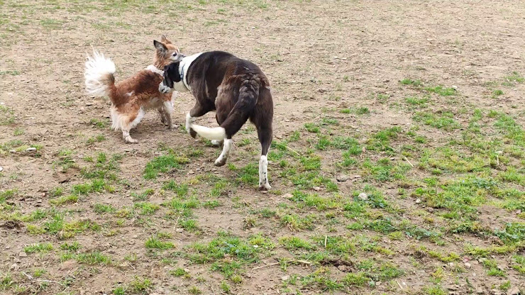 Vidéos Casa rural Mas Rovira, Allotjament Rural 17474 Vilacolum