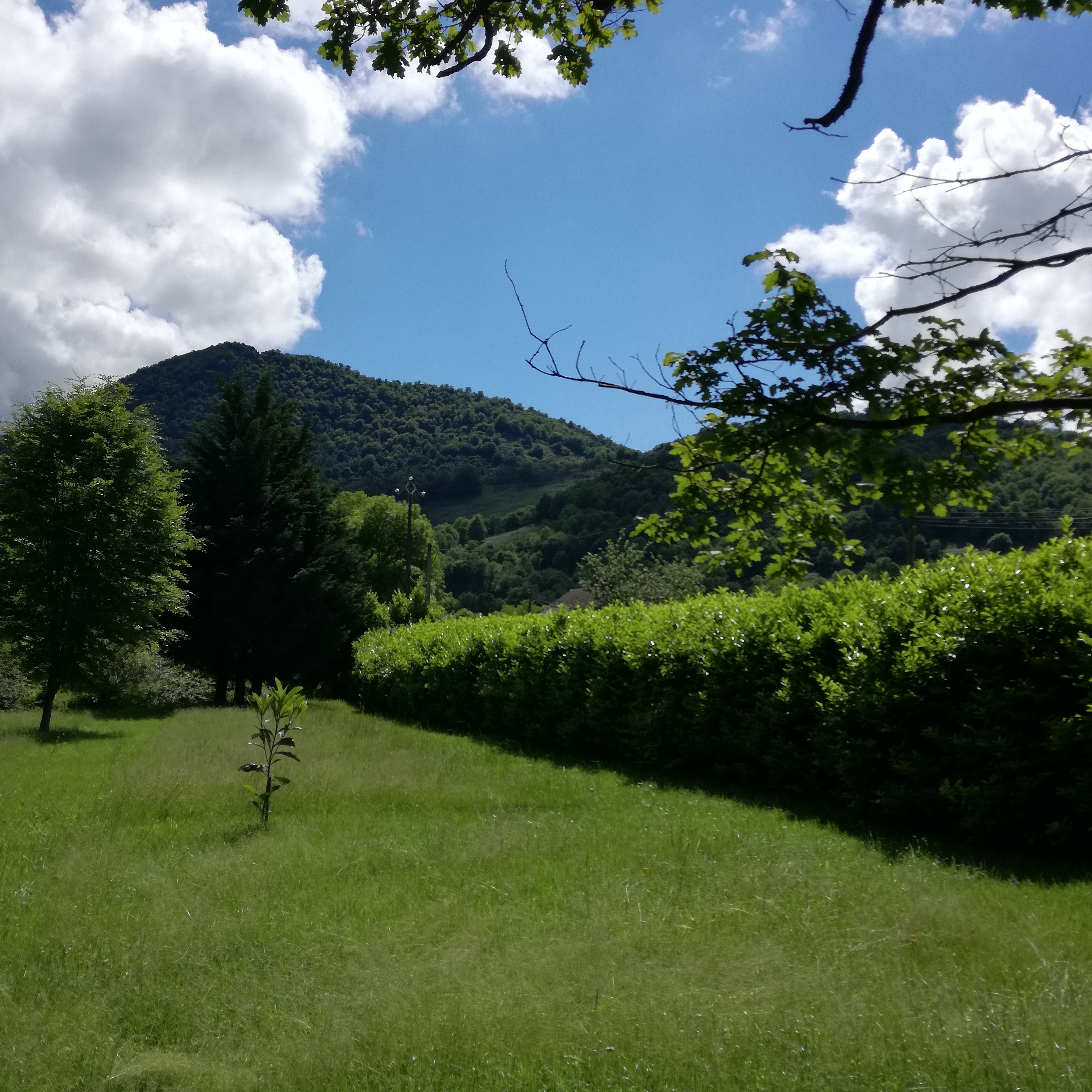 Photo n° 2 de l'avis de Elia.o fait le 16/06/2018 à 09:19