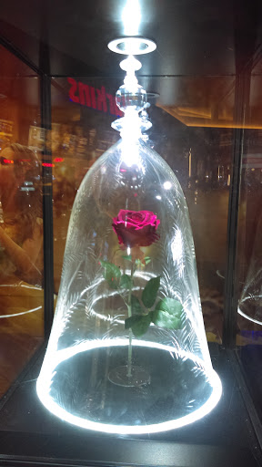 Movie Theater «Harkins Theatres Estrella Falls 16», reviews and photos, 15010 W McDowell Rd, Goodyear, AZ 85395, USA