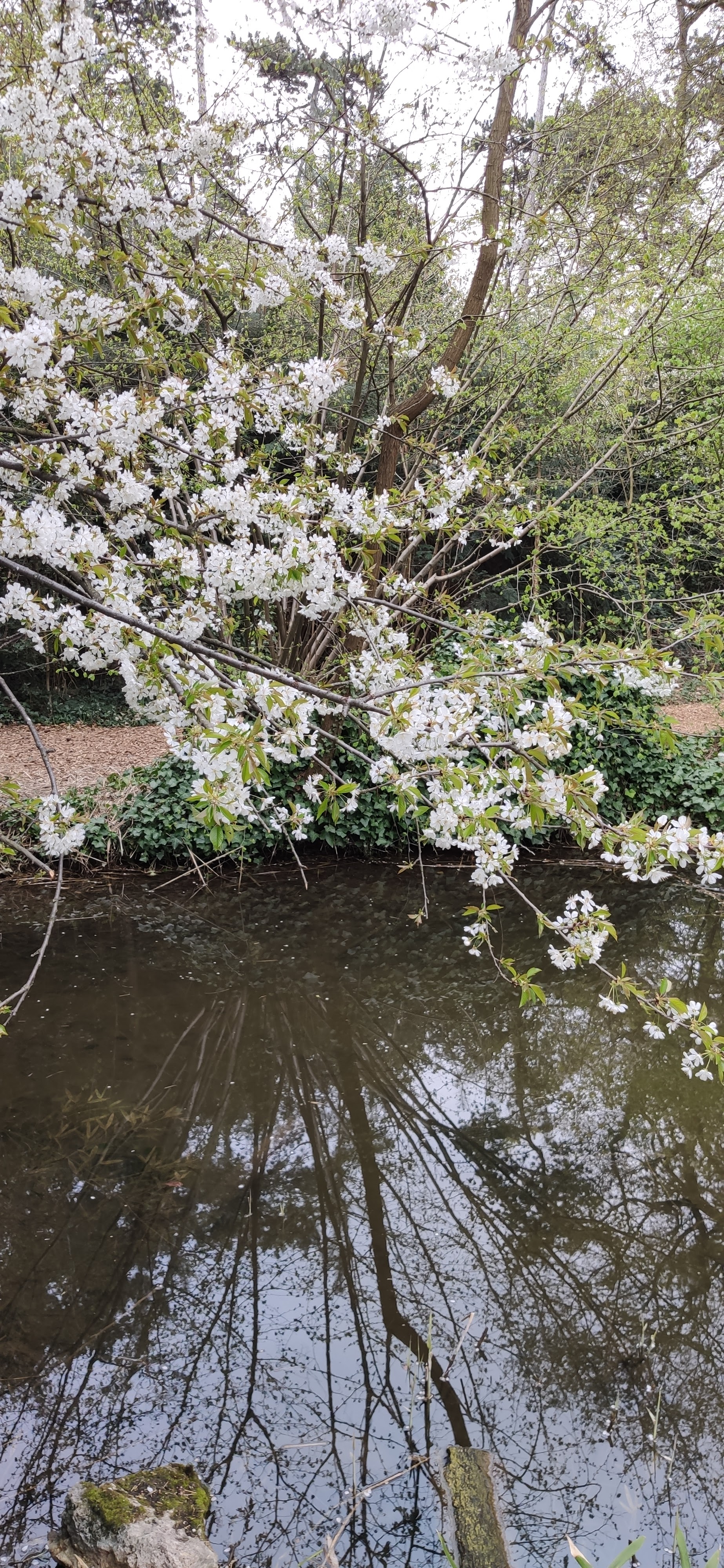 Photo n° 1 de l'avis de Michel.a fait le 10/04/2021 à 21:56