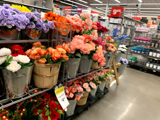 Craft Store «Michaels», reviews and photos, 15911 Manchester Rd, Ellisville, MO 63011, USA