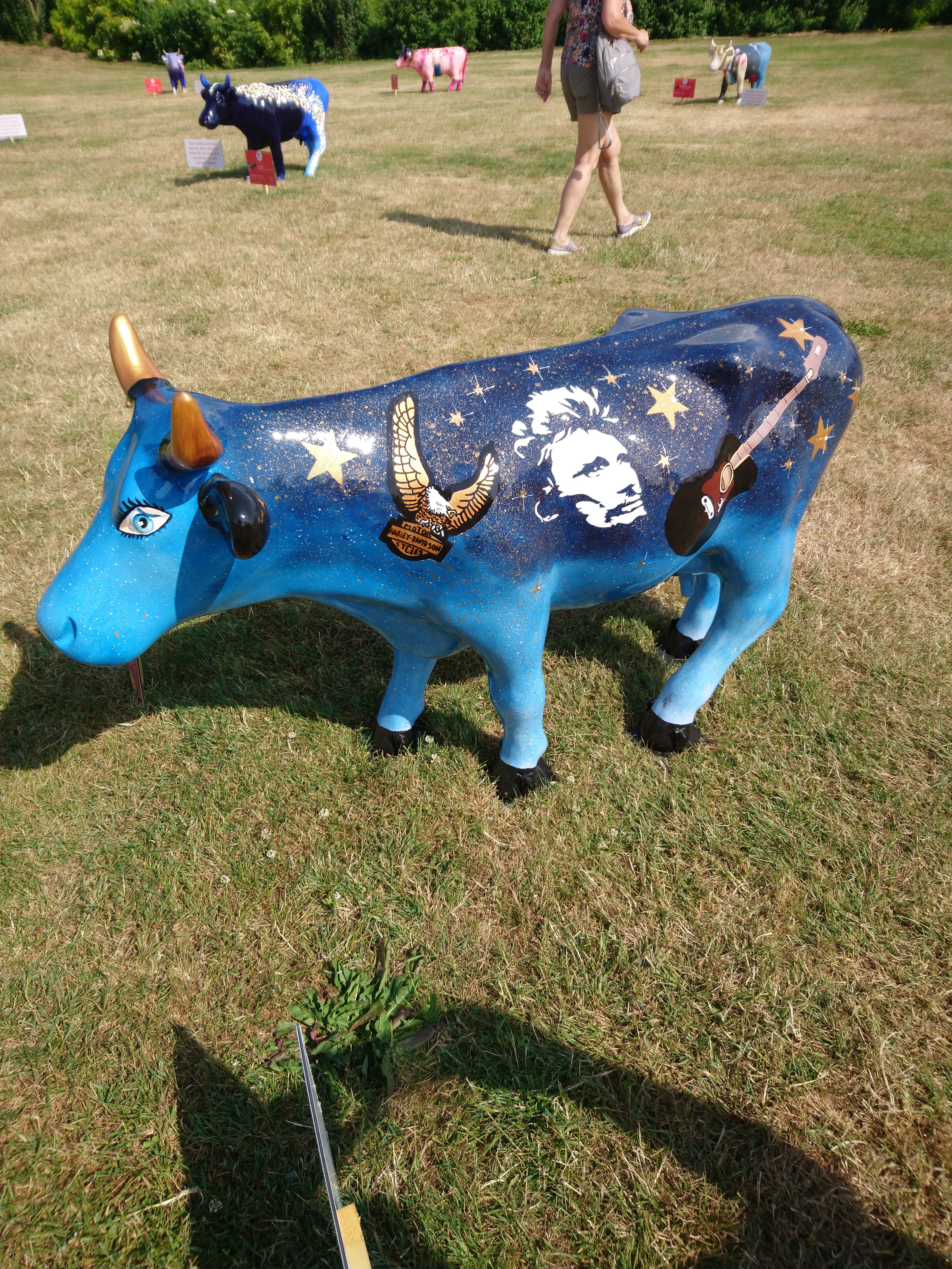 Photo n° 15 de l'avis de Lucien.e fait le 28/07/2019 à 19:45