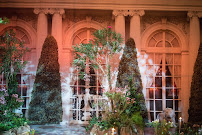 Absolute Event Experience - Photo 5 - Car repair in Orlando, FL, Orlando