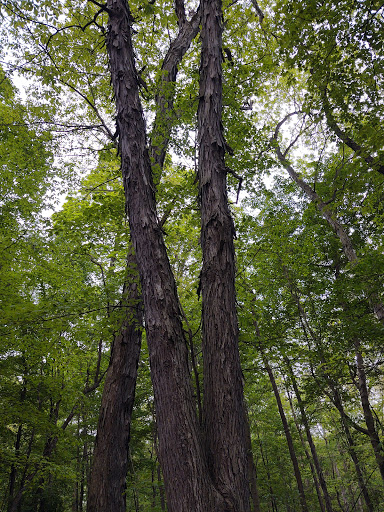 Vista Point «Ledges Overlook», reviews and photos, 405 Truxell Rd, Peninsula, OH 44264, USA