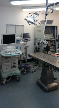 Merrimack Veterinary Hospital - Photo 4 - Car repair in Merrimack, NH, Lowell