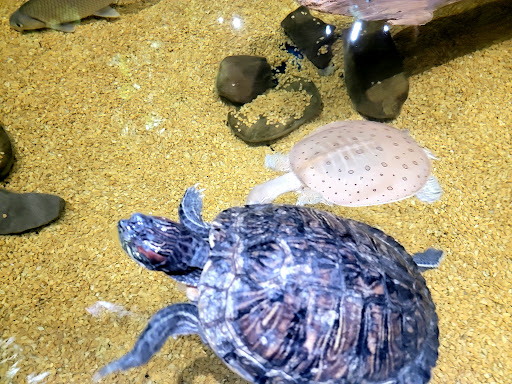 Aquarium «Greater Cleveland Aquarium», reviews and photos, 2000 Sycamore St, Cleveland, OH 44113, USA