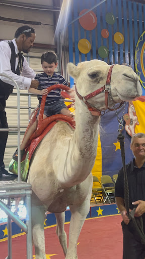 Fairground «Elberton Fair», reviews and photos