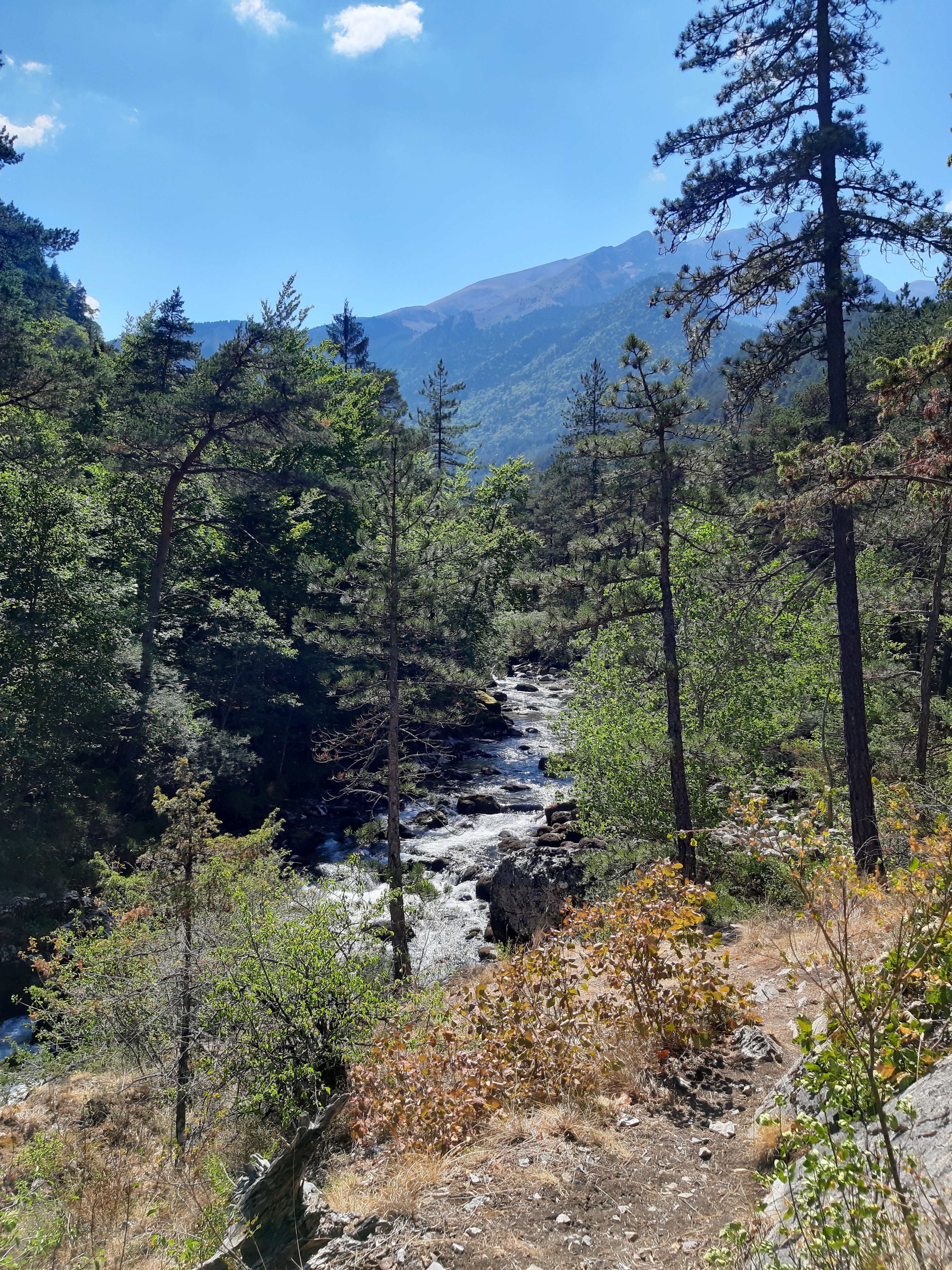 Photo n° 3 de l'avis de Delprat.i fait le 17/08/2022 à 17:44