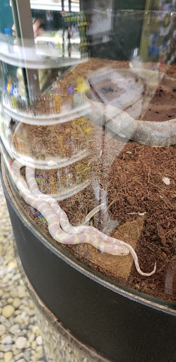 Pet Supply Store «Pet Supermarket», reviews and photos, 801 E Sunrise Blvd, Fort Lauderdale, FL 33304, USA