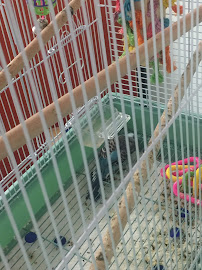 Star Light Learning Academy Kennesaw - Photo 5 - Car repair in Kennesaw, GA, Sandy Springs