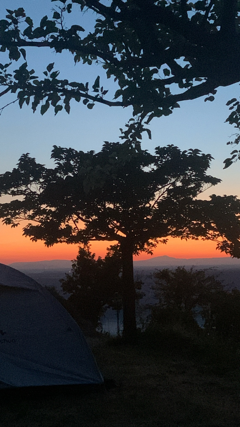 Photo n° 1 de l'avis de Bernadette.u fait le 20/07/2022 à 17:18
