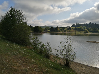 Lac du Grecq à Orthez