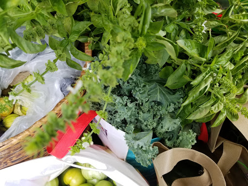 Park «Watkins Park», reviews and photos, 2360 Doctor M.L.K. Jr St, Indianapolis, IN 46208, USA