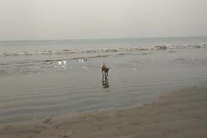 চাঁদপুর সমুদ্রতট Chandpur Sea Beach image