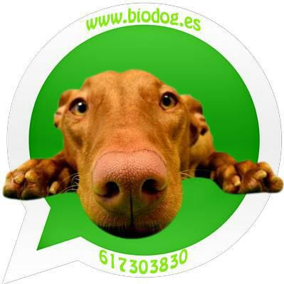 Alimentación Biodog Sl - Servicios para mascota en La Alcayna