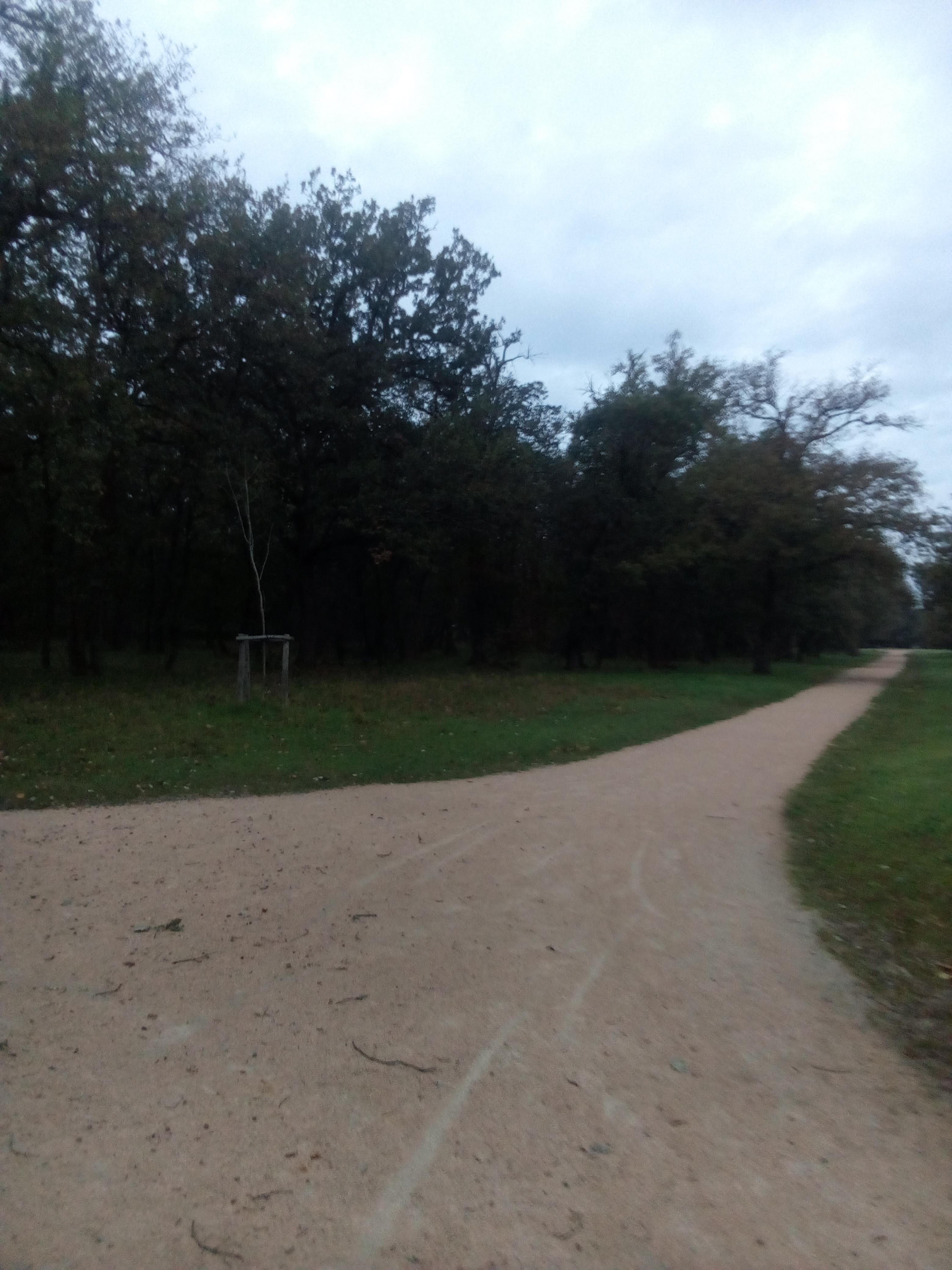 Photo n° 4 de l'avis de Pascale.o fait le 27/12/2020 à 20:06