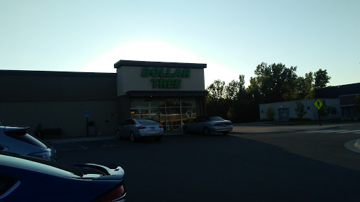 Dollar Store «Dollar Tree», reviews and photos, 1432 Lake St S A, Forest Lake, MN 55025, USA