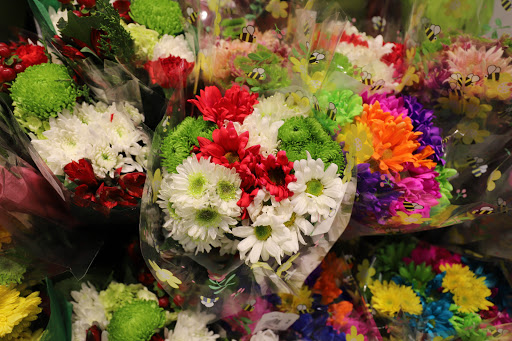 Grocery Store «Food Lion», reviews and photos, 40955 Merchants Ln, Leonardtown, MD 20650, USA