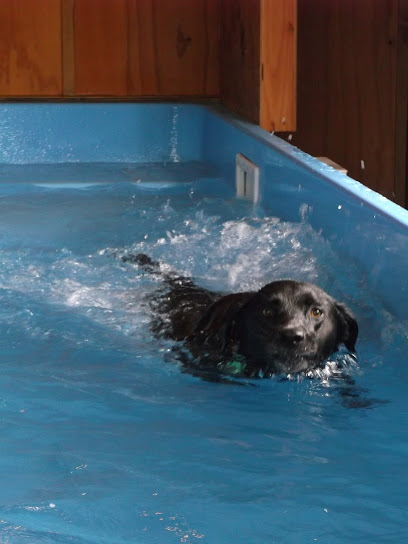 Dexter's Hydrotherapy