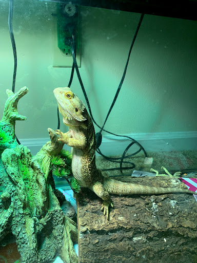 Pet Supply Store «PetSmart», reviews and photos, 101 Pavilion Pkwy, Fayetteville, GA 30214, USA