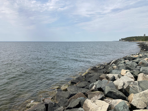 Boat Tour Agency «Patriot Cruises», reviews and photos, 213 N Talbot St, St Michaels, MD 21663, USA