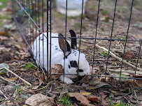 Snipes Farm and Education Center - Photo 5 - Car repair in Morrisville, PA, Trenton