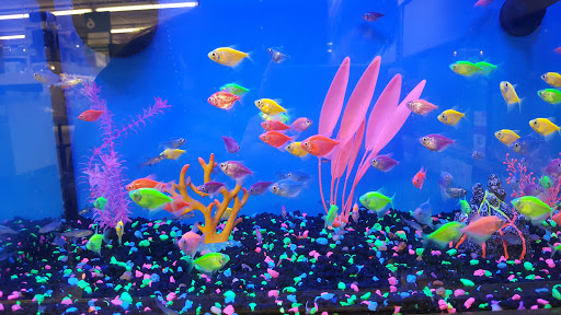 Pet Supply Store «Pet Supplies Plus», reviews and photos, 425 Water St, Chardon, OH 44024, USA