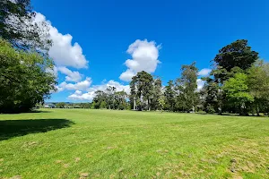 Opanuku Reserve image