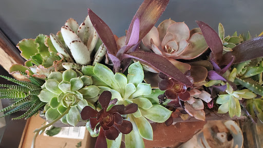 Florist «Arden Park Florist & Gift Gallery», reviews and photos, 564 La Sierra Dr, Sacramento, CA 95864, USA