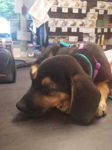 Pet Supply Store «The Hungry Puppy», reviews and photos, 1288 NJ-33, Farmingdale, NJ 07727, USA